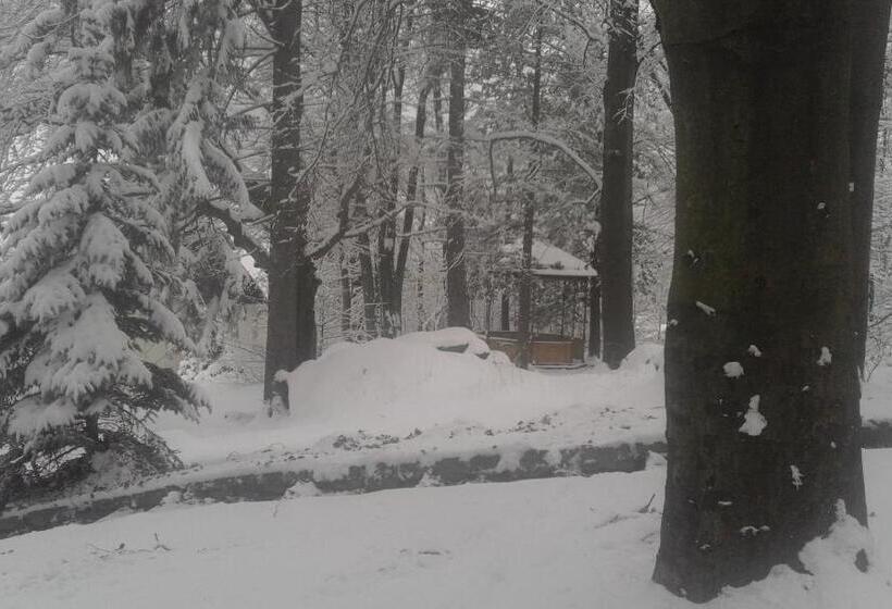 פנסיון Willa Nimfa   Pokoje I Apartamenty W Centrum