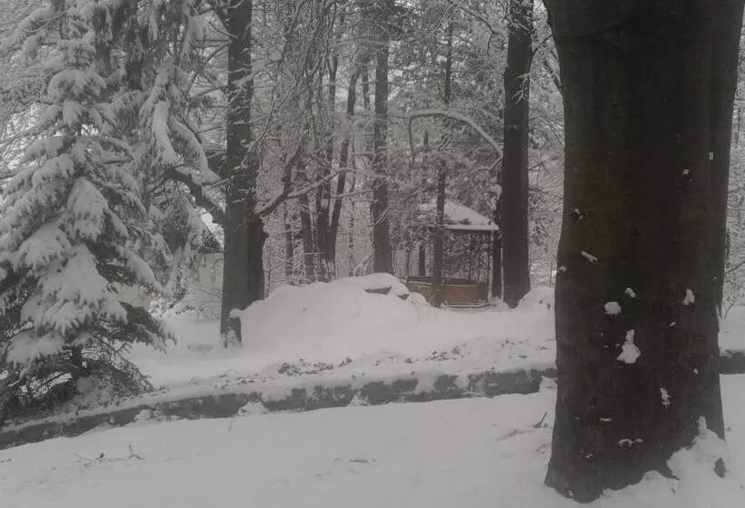 ペンション Willa Nimfa   Pokoje I Apartamenty W Centrum