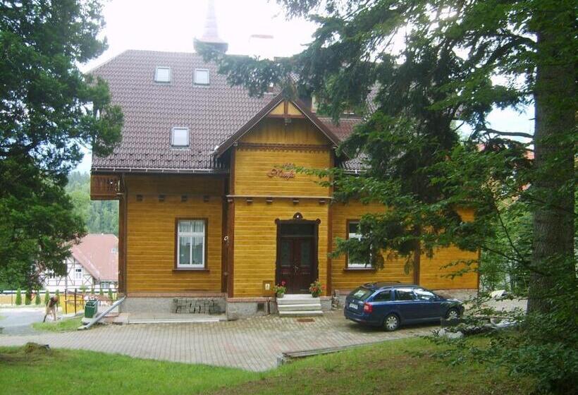 פנסיון Willa Nimfa   Pokoje I Apartamenty W Centrum