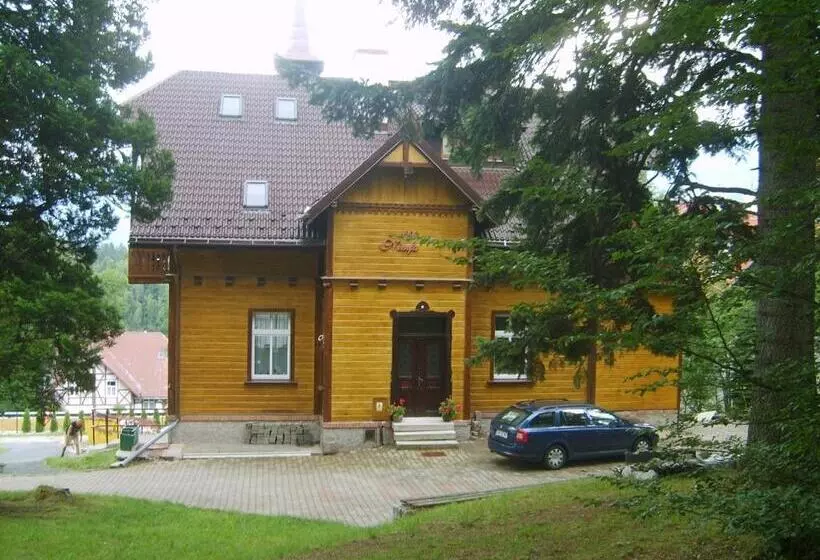 ペンション Willa Nimfa   Pokoje I Apartamenty W Centrum