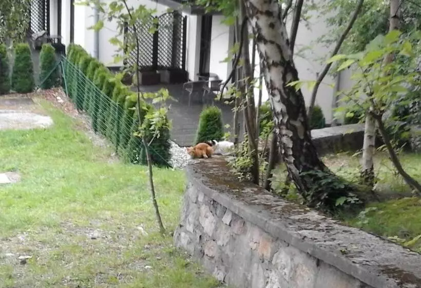 ペンション Willa Nimfa   Pokoje I Apartamenty W Centrum