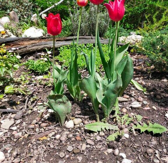 渡假胜地  Przywiśle