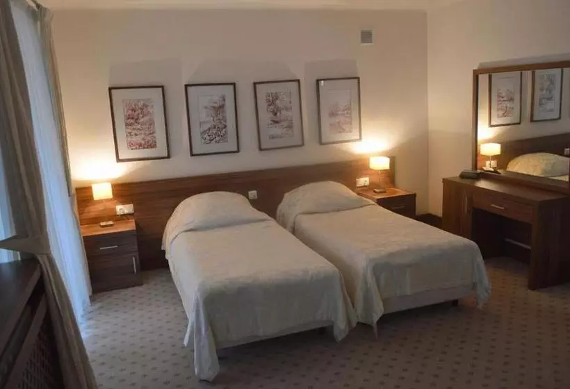 リゾートホテル Termy Pałacowe