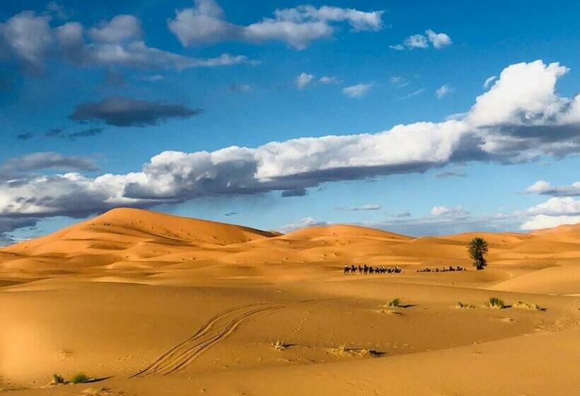 Alberg ハッサンとラクダツアー