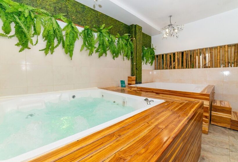 Отель Ayenda Boyaca Vip