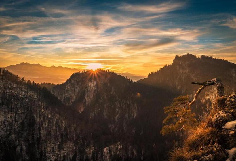 Hotel Pokoje I Apartamenty U Sabiny Apartament I Domek Z Jacuzzi Na Wyłączność Pozostałe Pokoje Bez Ja