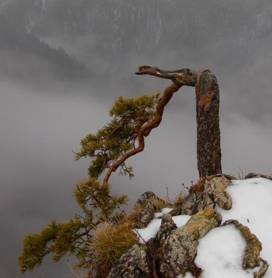 Hotel Pokoje I Apartamenty U Sabiny Apartament I Domek Z Jacuzzi Na Wyłączność Pozostałe Pokoje Bez Ja