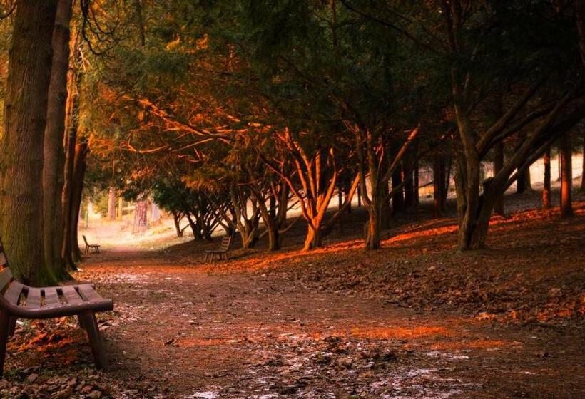 Hotel Pokoje I Apartamenty U Sabiny Apartament I Domek Z Jacuzzi Na Wyłączność Pozostałe Pokoje Bez Ja