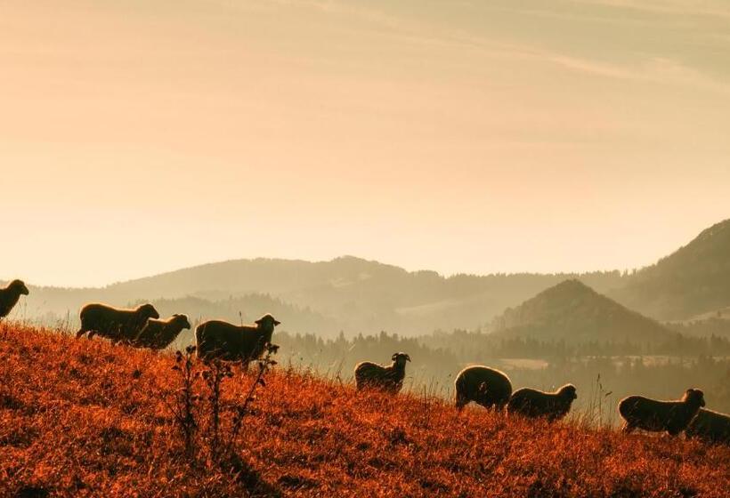 Hotel Pokoje I Apartamenty U Sabiny Apartament I Domek Z Jacuzzi Na Wyłączność Pozostałe Pokoje Bez Ja