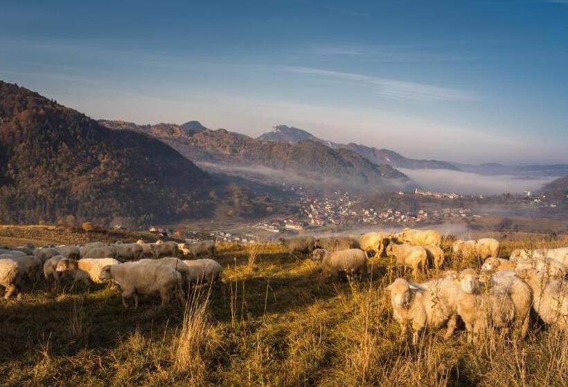 Hotel Pokoje I Apartamenty U Sabiny Apartament I Domek Z Jacuzzi Na Wyłączność Pozostałe Pokoje Bez Ja