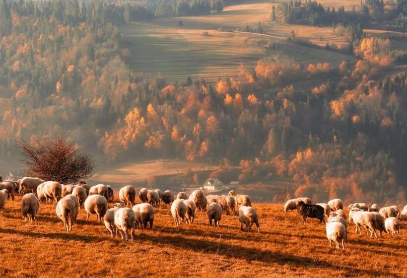 Hotel Pokoje I Apartamenty U Sabiny Apartament I Domek Z Jacuzzi Na Wyłączność Pozostałe Pokoje Bez Ja