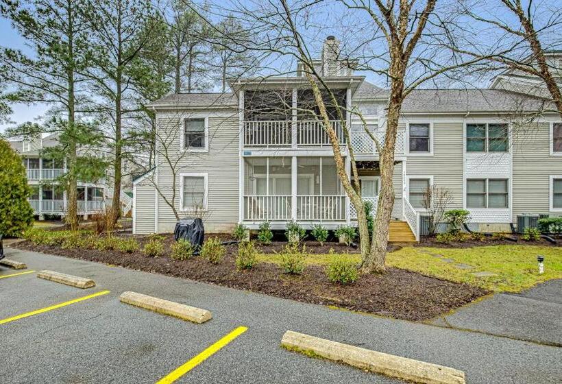 هتل Sea Colony  14001 Tall Pines