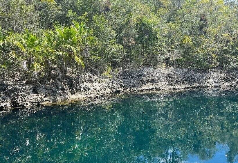 Selectum Family Resort Varadero