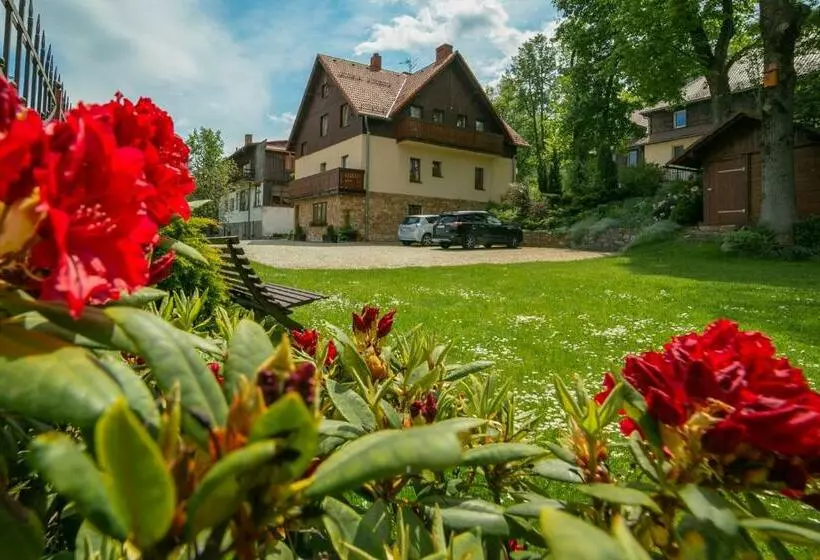 ペンション Willa Sudety