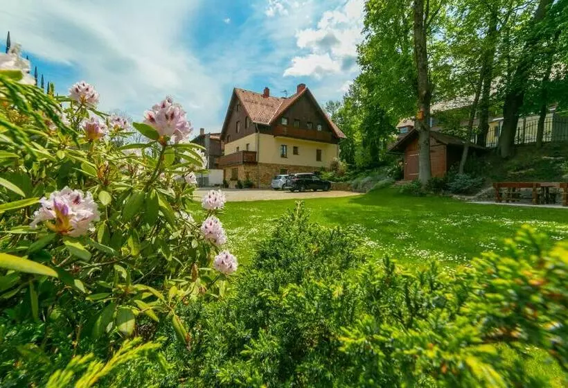 ペンション Willa Sudety