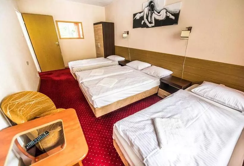 ペンション Willa świerkowa