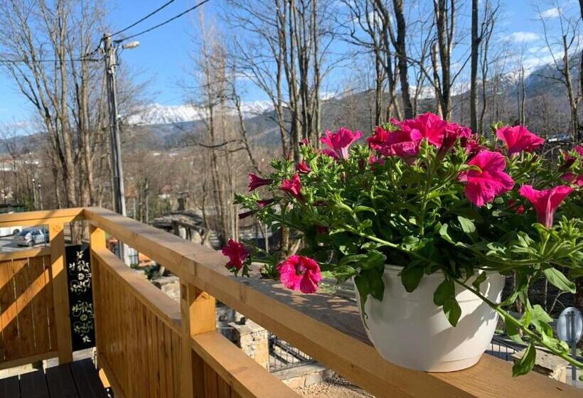 Пансион Willa Wysoka