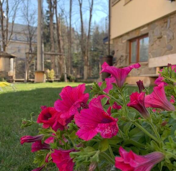 Пансион Willa Wysoka