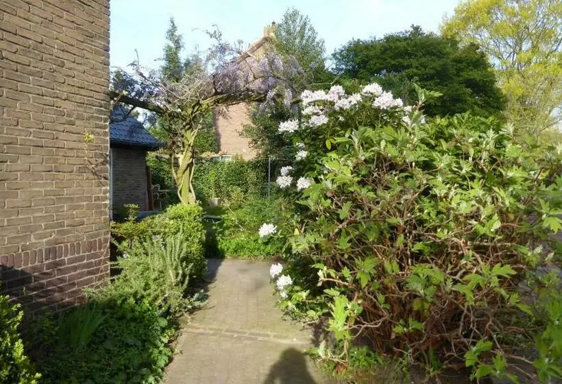 B&b De Munt