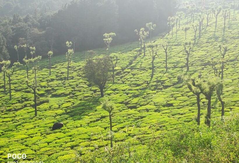 Nocleg ze śniadaniem Fern Hill Sunset View Villa