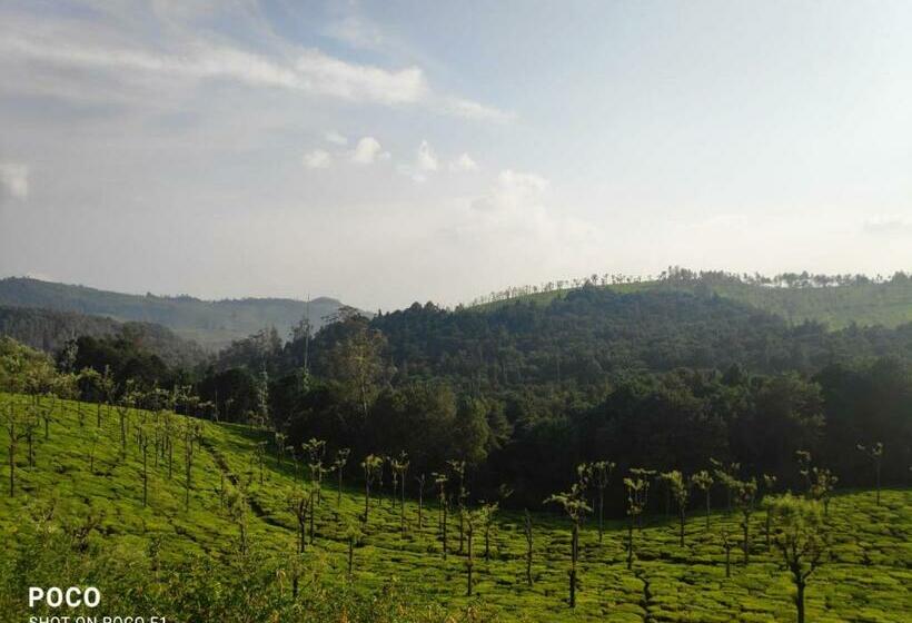 Nocleg ze śniadaniem Fern Hill Sunset View Villa