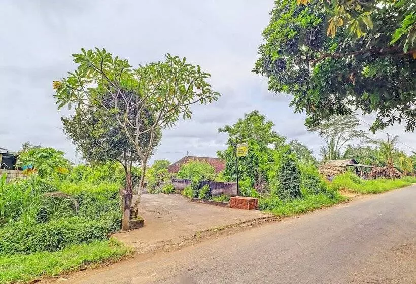 Hotelli Oyo 92203 Tata Guest House