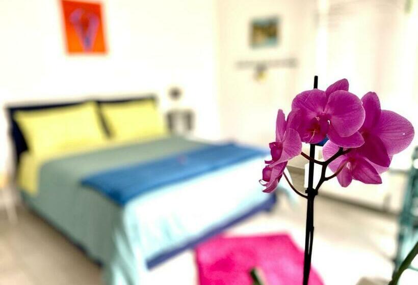 膳宿费 Bella  Mbriana