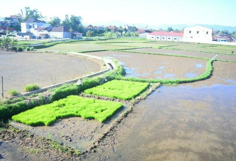 Pensjonat Bundo Inkorba Syariah