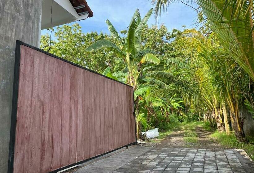 פנסיון Lumi Home Bali