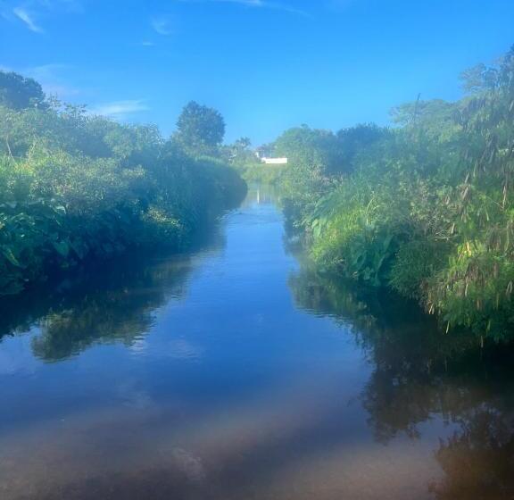 펜션 Swan Guest House Room With Own Private Bathroom