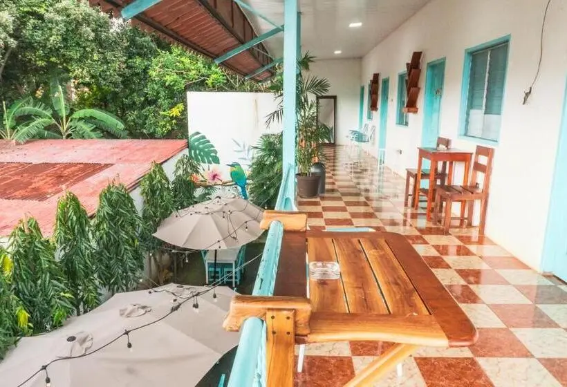 تختخواب و صبحانه Hostal Eden