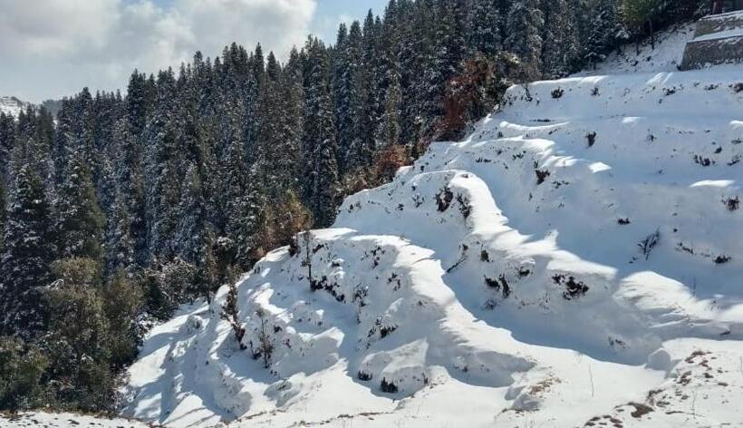 צימר The Rosly Estate