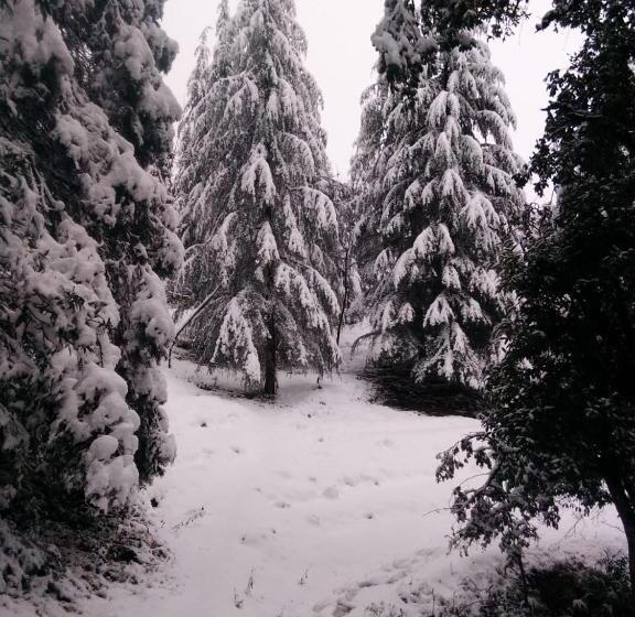 צימר The Rosly Estate