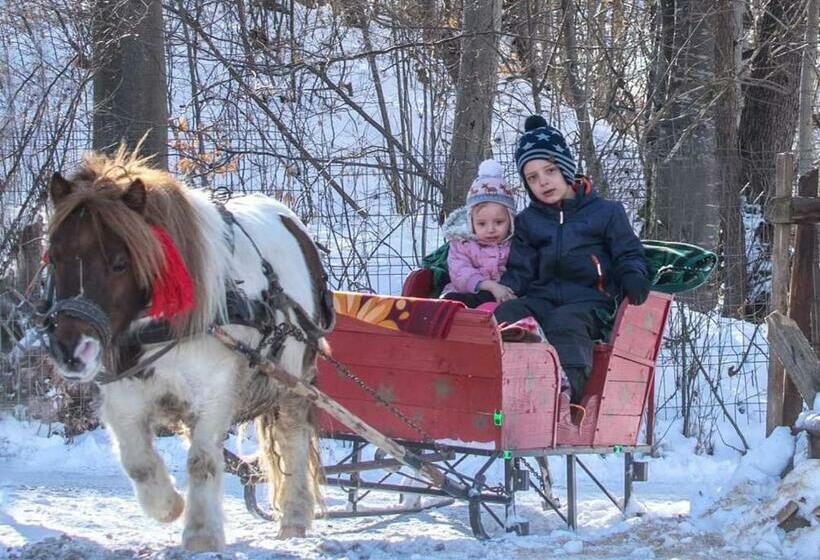 Отель Casa Calea Haiducilor