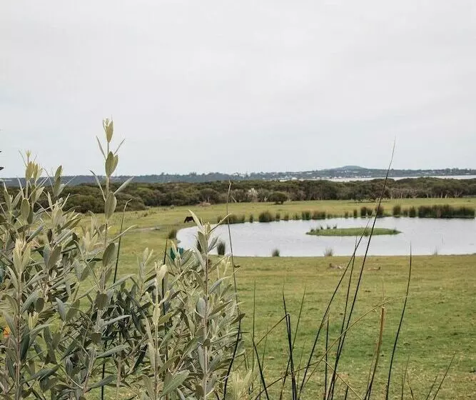 ホテル Majuba Country Lodge