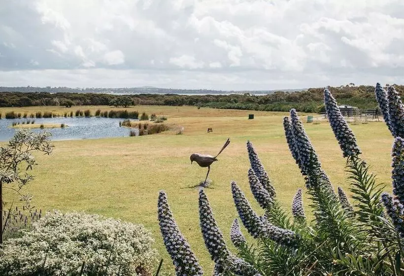 ホテル Majuba Country Lodge