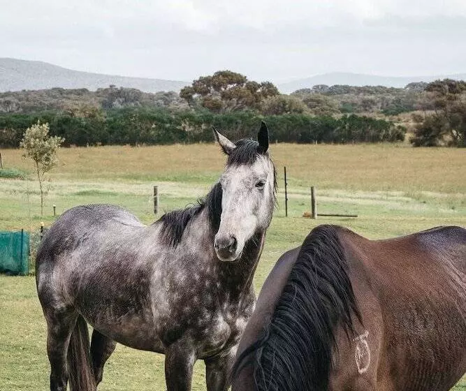 ホテル Majuba Country Lodge
