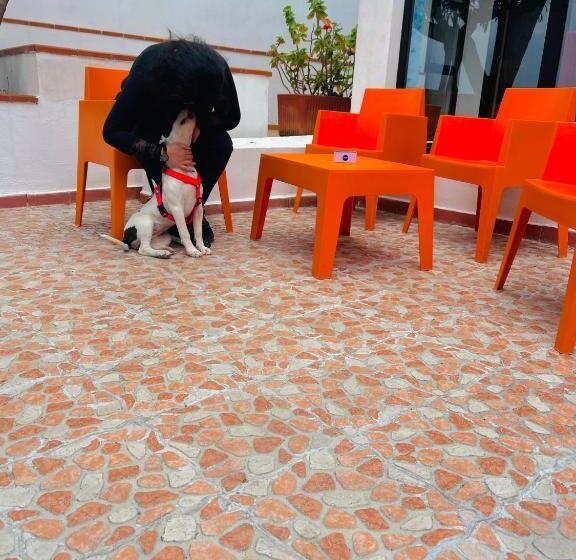 Otel Piccolo Paradiso Del Gargano