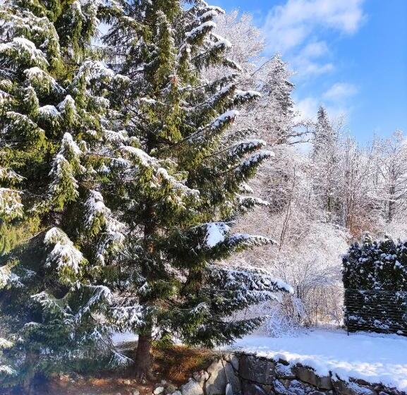 ペンション The Tasty Ski Company