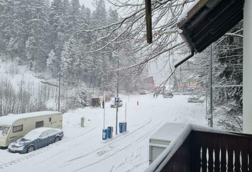 Pensiunea Ursuletul Paddington