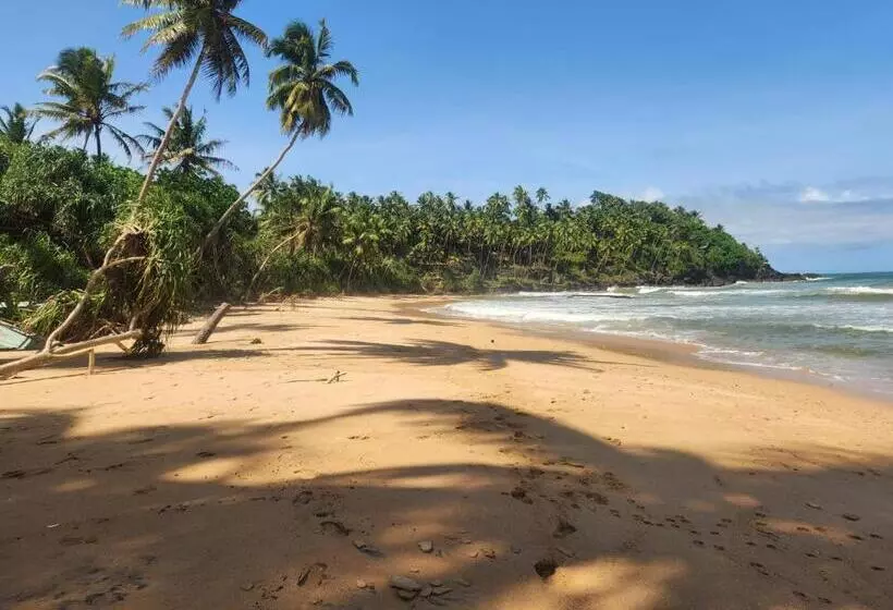 تختخواب و صبحانه Red Sun Beach Villa Kosgoda