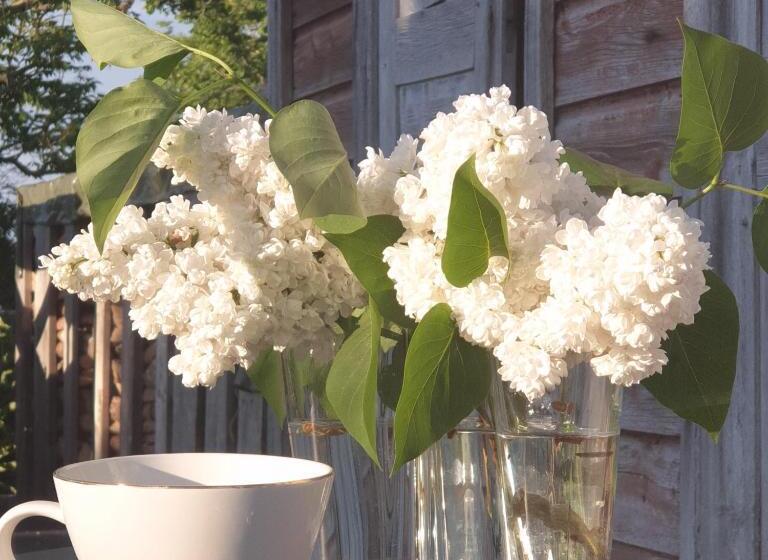 Ronehamn Bed And Breakfast