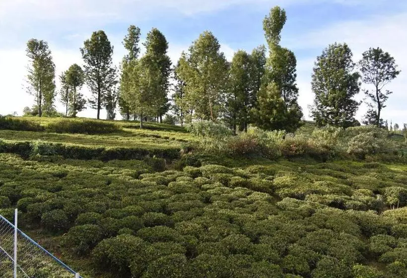 Retkeilymaja Diamond Hill View