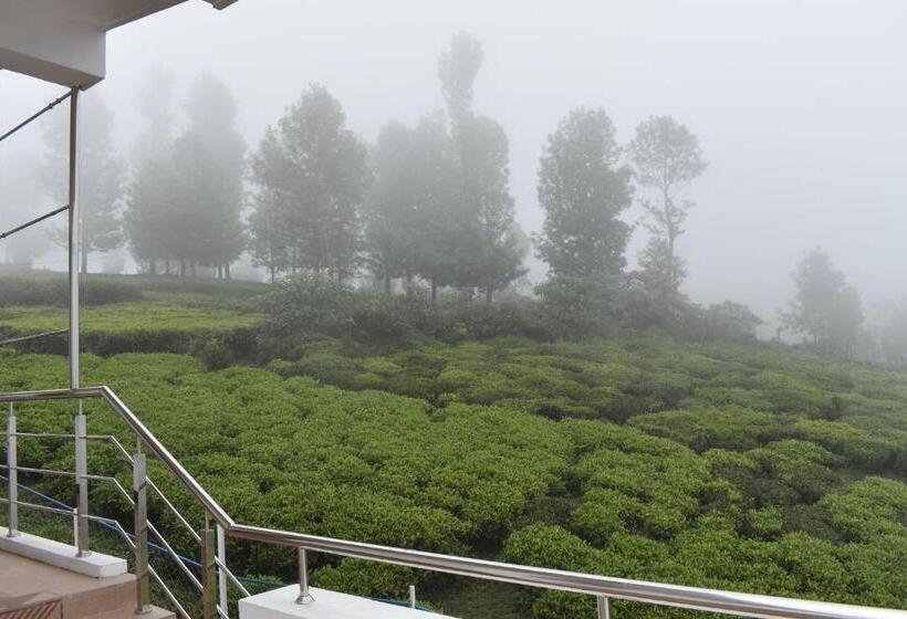 Albergue Diamond Hill View