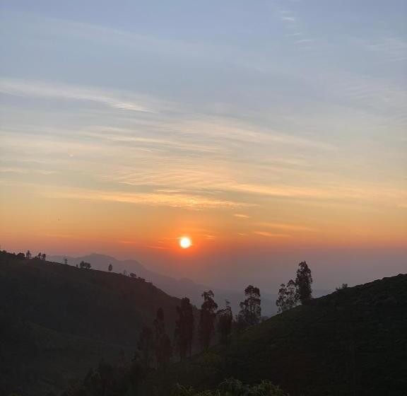 Albergue Diamond Hill View