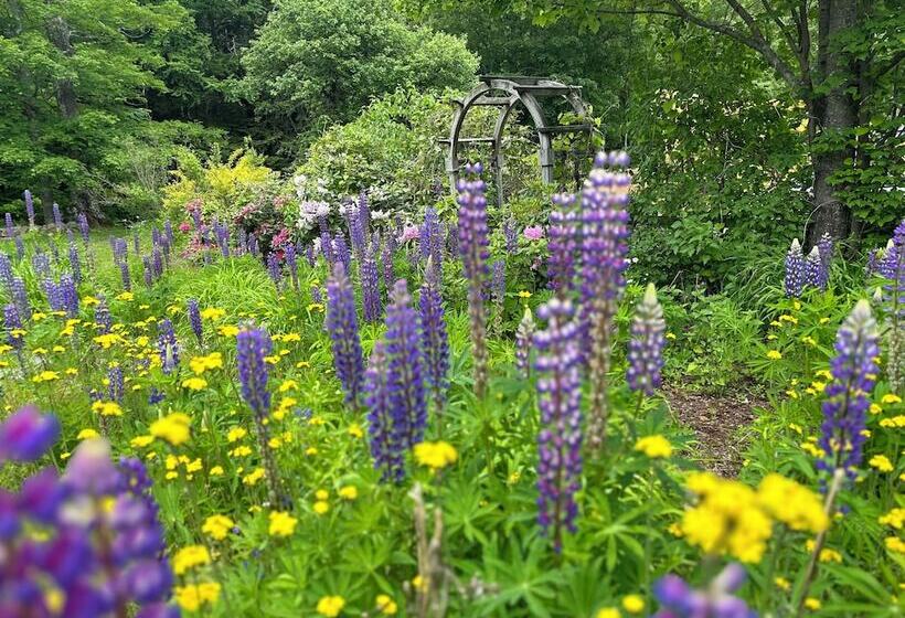 ユースホステル Sugar Maple Inn