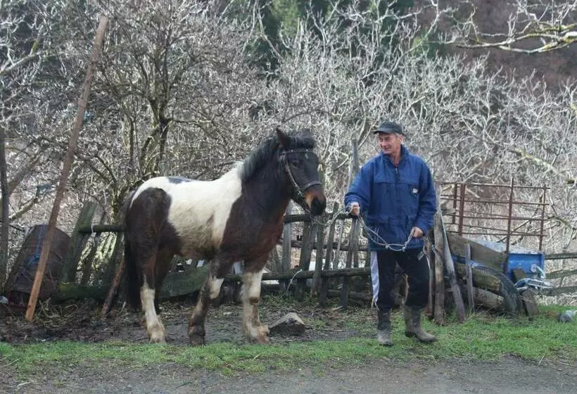 تختخواب و صبحانه Domaćinstvo Maksimović