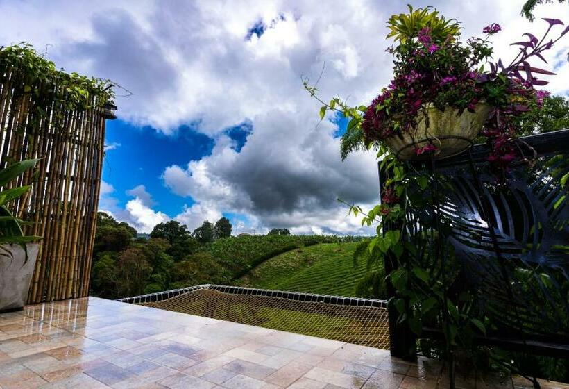 ホテル Elixer Habitat