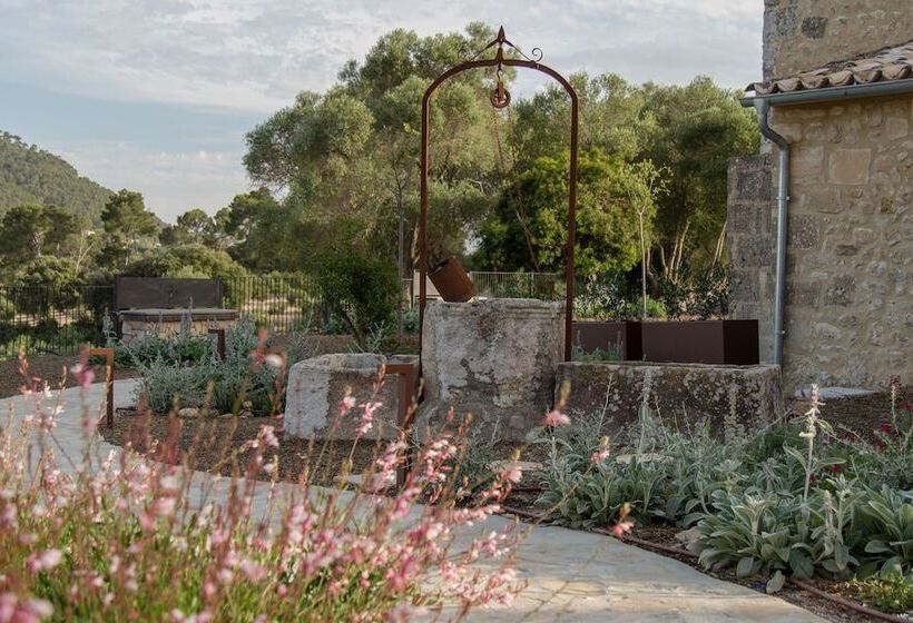 Fincahotel Treurer Olive Grove & Grand House Adults Only