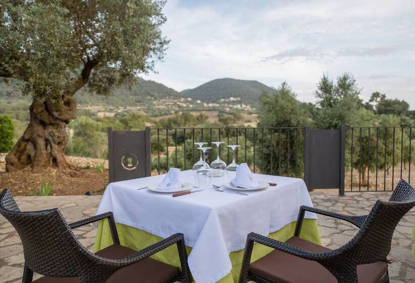 Fincahotel Treurer Olive Grove & Grand House Adults Only